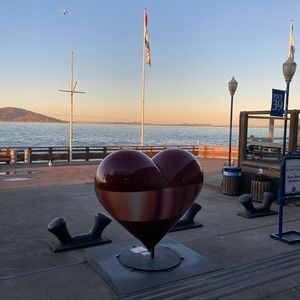 Meet your Posher, Alisa